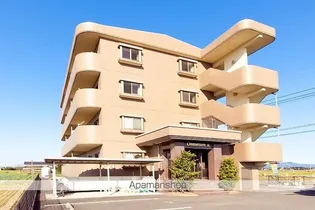 ドミールの画像