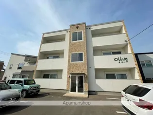 オリーブの画像