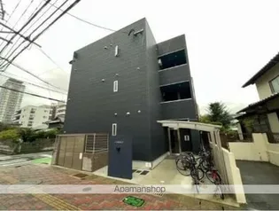 オルキオの画像
