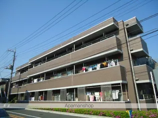 スターフラッツの画像