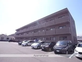サザンスターの画像