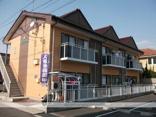 パンプキンBの画像