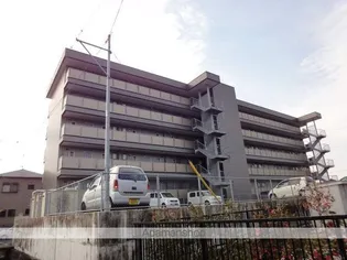 ミール【4階】の外観