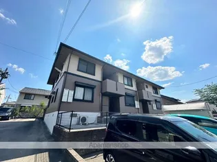 ソレイユ ミキの画像