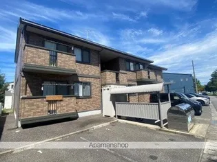 セレッソSAKURAの画像