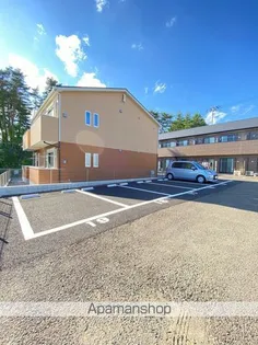 アムール クリザンテムの画像