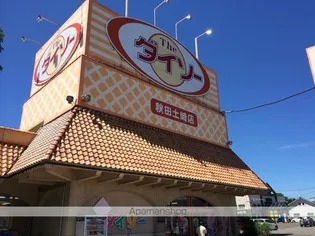 レオパレス飯島Ⅱ【205号室】の周辺