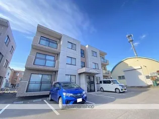 プラセール桔梗の画像