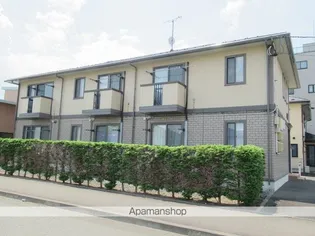 カシオペアの画像