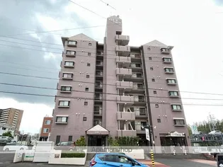 コスモⅡの画像