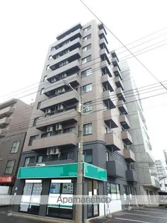 ラ ヴィスタ行啓通りの画像