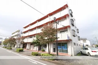 シャレムクレインの画像