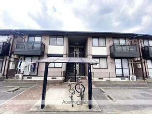 バンビーノ Cの画像