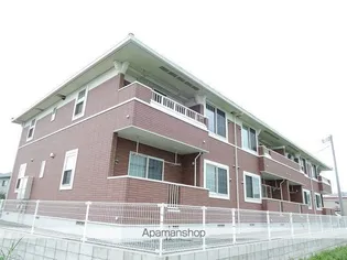 コリーヌベルの画像