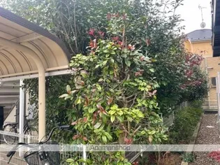 レオパレスピエルリー【1階】のその他画像