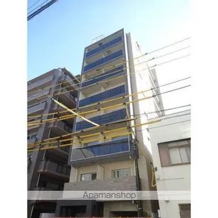 ディアレイシャス菊川の画像