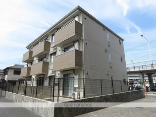 グレイスの画像