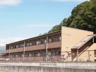 ラヴィ福沢の画像