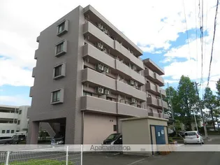 アイーラ渡辺の画像