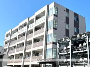 トレシャーナの画像