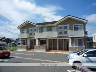 プラシードの画像