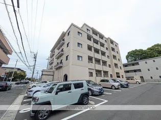 VIOLA桜橋の画像