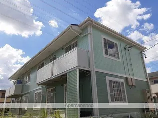 メイプルⅡの画像