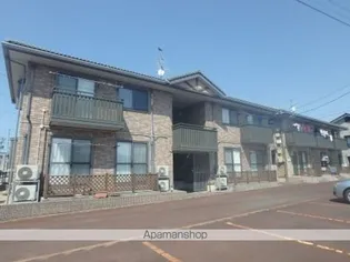 アブシンベルBの画像