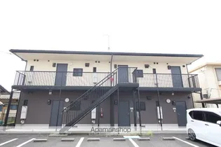 セフィラササキの画像