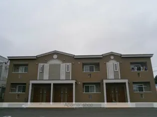 グレイス 柴田の画像