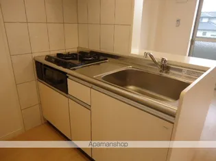 ウィング東合川【2階】のキッチン