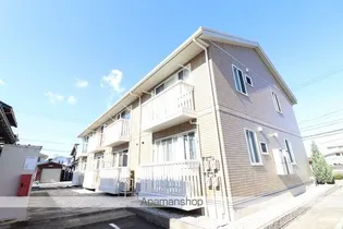 ブルームの画像