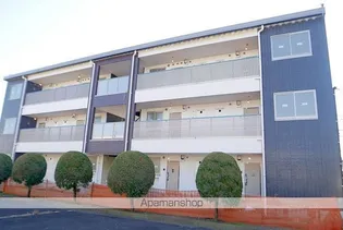 STELLA KOUSEIの画像