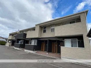 プラシードの画像