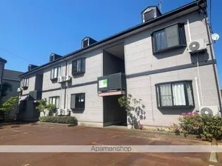 サンセベリアの画像