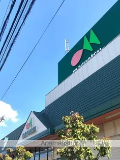 レオパレスグランドゥールⅡ【1階】の周辺