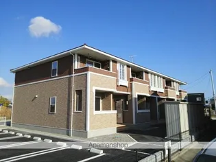 サンプラシードEの画像