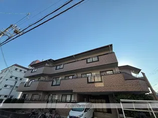 Vコートの画像