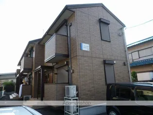 プレジオ樹の画像