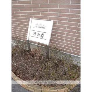 アムール日の森の画像