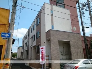 サン プリムローズの画像