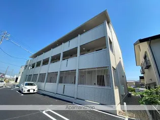 レグルスの画像