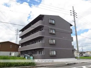 サン エヴォリュエの画像