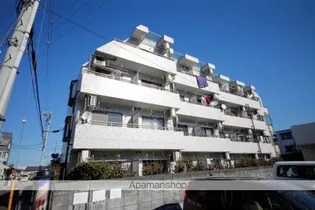 ベラフロールの画像