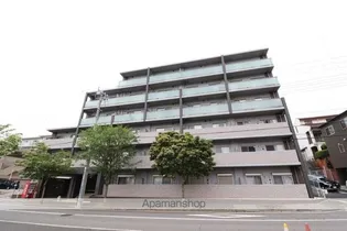 グレースVIIの画像