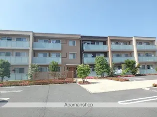 グラシアスの画像