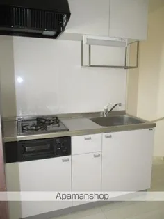 ニルヴァーシュ【207号室】のキッチン