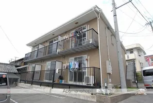 ジュネスアノンβの画像