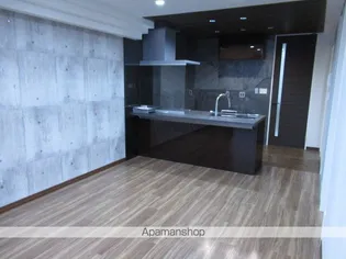 HILLS RESIDENTIAL S12【1階】の居間