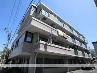 KMコートの画像